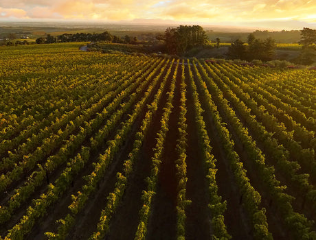 Open Door from June 6 - 9 in Moutfort - 2024