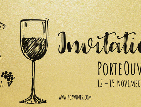 Open Doors with Tokara, Thelema, Rust en Vrede and Taaibosch/PinkValley