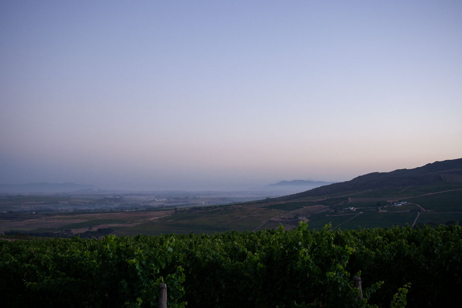 Steytler 1947 Chenin Blanc 2022