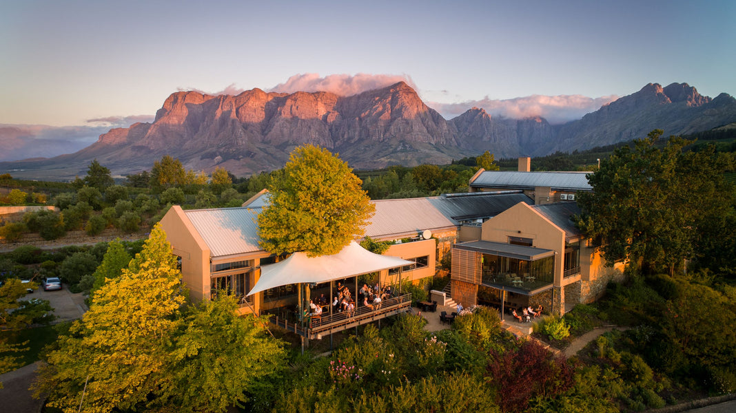 Limited Release Pinotage 2023