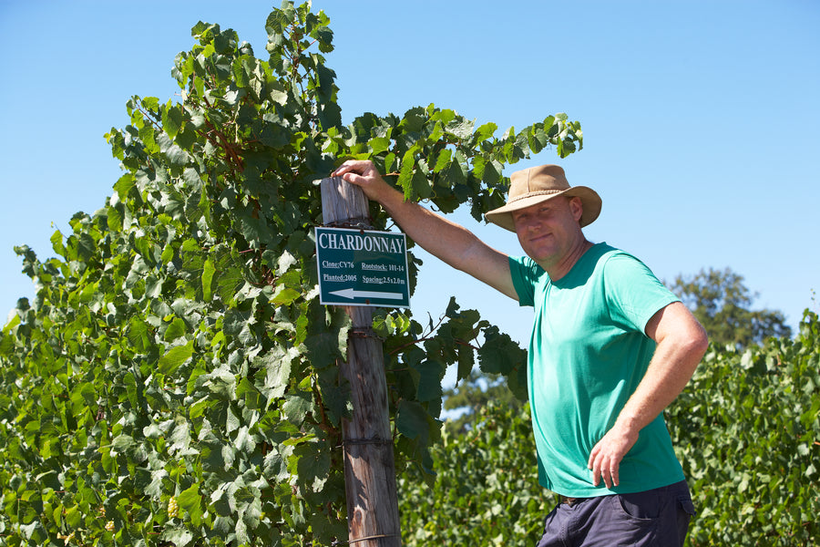 Clonal Elgin Chardonnay 2019