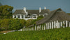 Walker Bay Sauvignon Blanc 2024